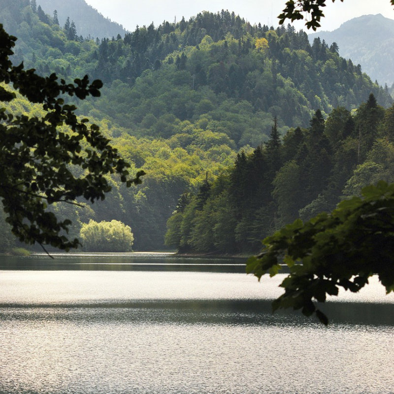zielona strzałka w zielonym okręgu